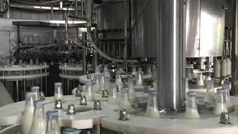 食品机械定制规格参数解析：关键点与考量